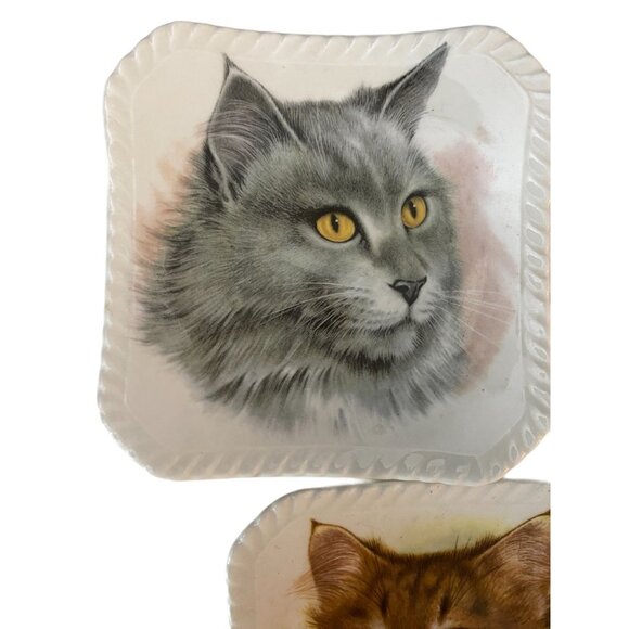 Cat Kittens Kitties 5 Trinket Trays Royal Adderley Bone China Made in England - Picture 3 of 8